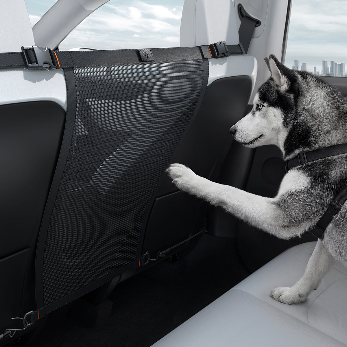 Pet Car Backseat Barrier | PS200